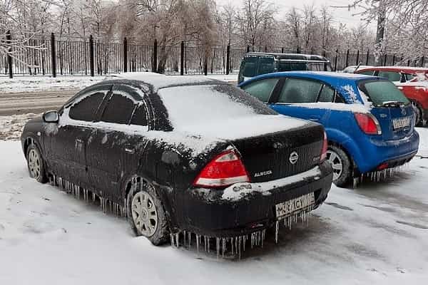 После ледяного дождя
