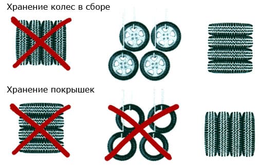 hranenie_koles